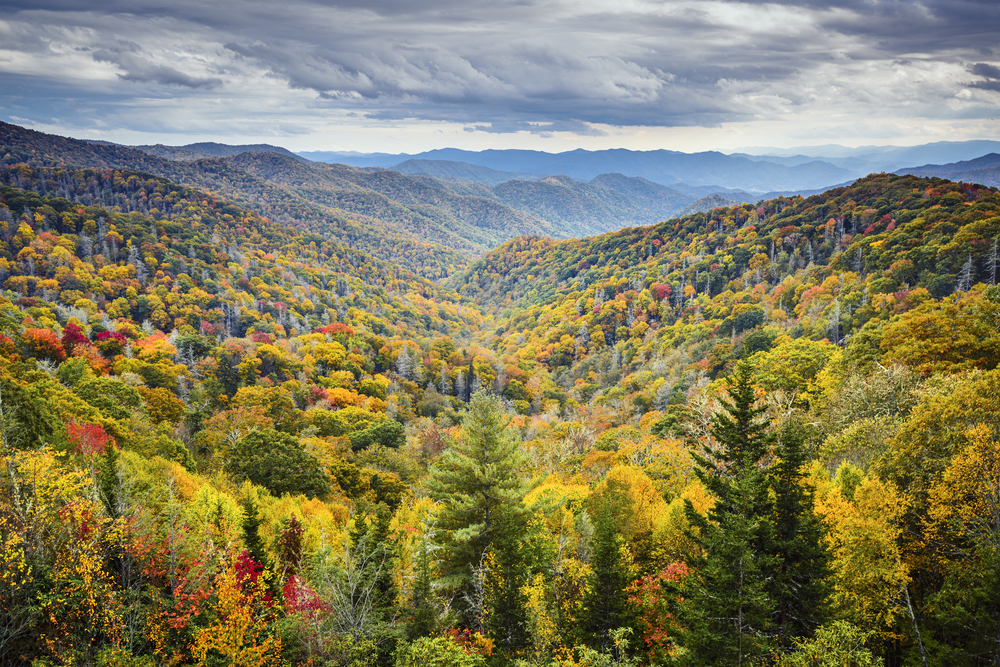 Fall colors in the Great Smoky Mountains National Park